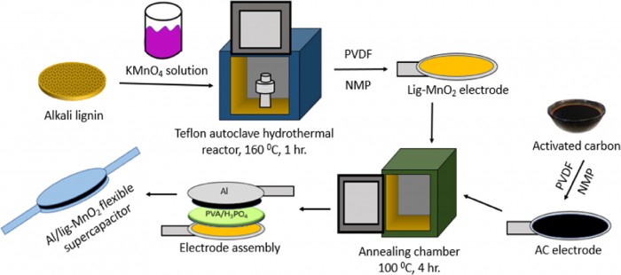 est2184-fig-0001-m.jpg