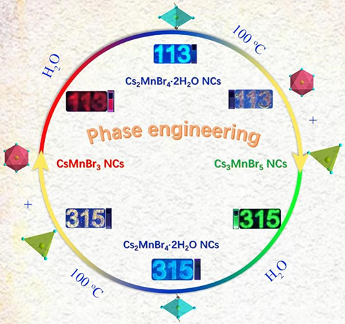 大连化物所揭示发光颜色可调的铯锰溴纳米晶体的相变过程.jpg