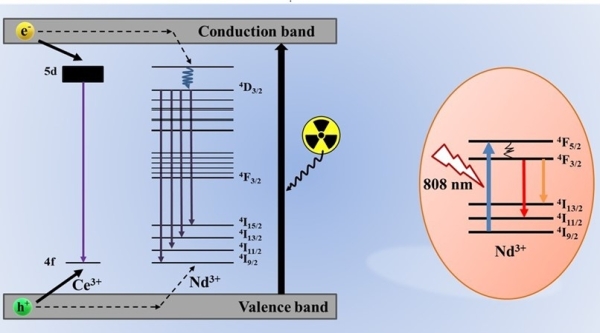 NaLuF4:Ce3+, Nd3+在X射线和808 nm激光激发下的UV和NIR-II发射机理和能量传递机制