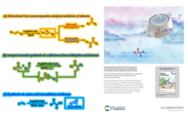双功能铁基纳米结构催化剂催化烯烃氧化转化制备含氧化合物