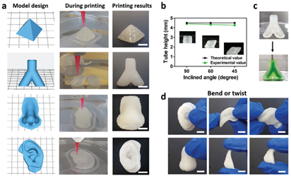 基于NIDN水凝胶生物墨水的复杂3D结构构建