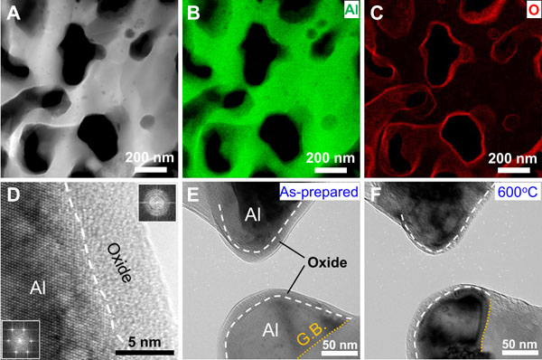 纳米多孔铝的结构表征