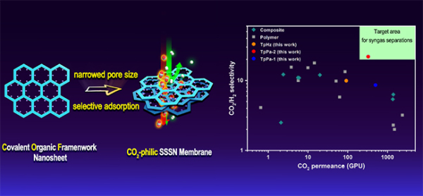 大连化物所制备出高性能超薄二氧化碳分离膜.jpg