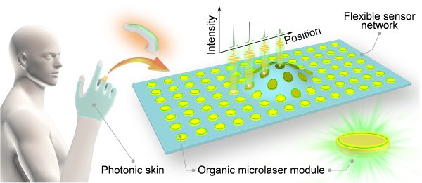 化学所基于柔性有机微激光阵列实现光子皮肤功能1.png