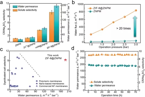 ZIF-8@ZNPM膜分离性能