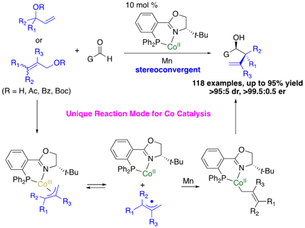 催化不对称烯丙位碳氢官能团化反应