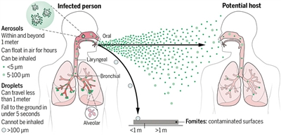 大多数呼吸道病毒靠气溶胶传播.jpg