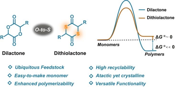 硫交酯单体显示热力学有利于成环，动力学有利于开环聚合