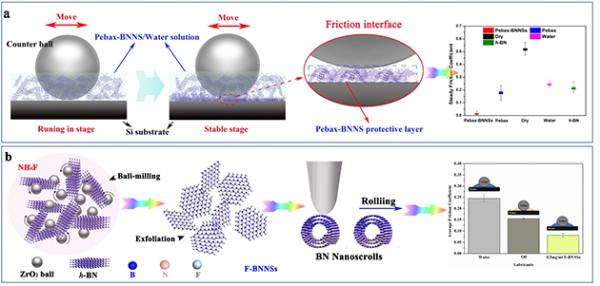 h-BNNSs剥离和功能化示意图及摩擦学性能