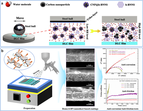 h-BNNSs在潮湿环境条件下优化摩擦学性能机制
