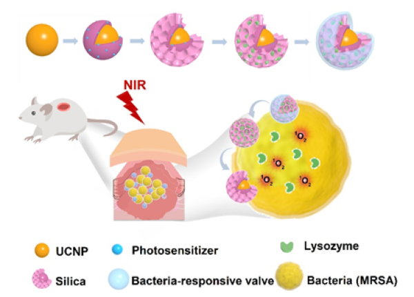 基于智能上转换纳米平台的溶菌酶-光动力协同抗深层组织耐药菌感染示意图