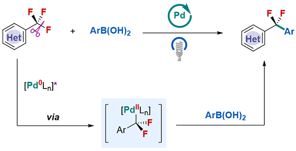 可见光诱导的钯催化下芳基硼酸对三氟甲基芳烃的选择性脱氟芳基化