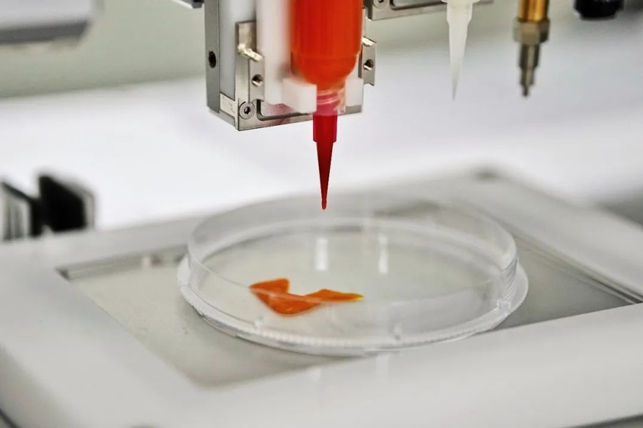 由CellX开发的3D打印细胞肉原型