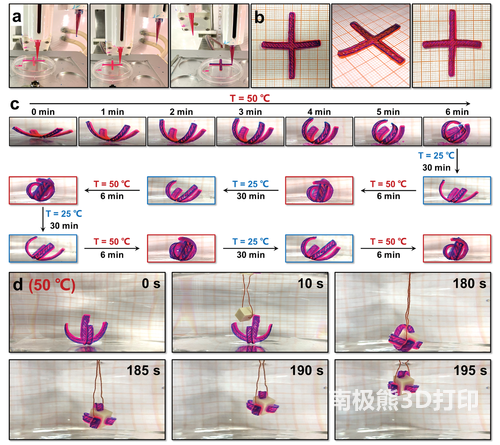 四臂花形PNIPA/PAA双层结构致动器的热响应开/关及其作为机械手的潜力