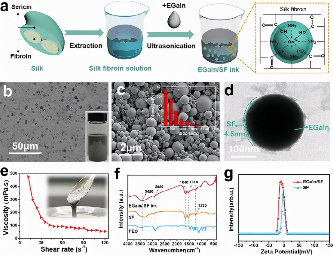 EGaIn/SF 墨水的制备和表征