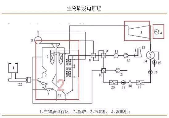 生物质发电凭什么这么受重视