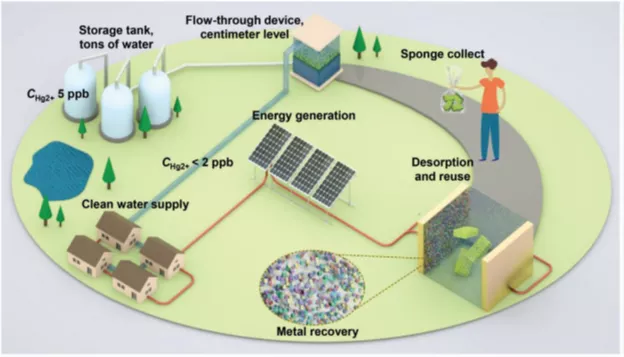 图4. 该滤膜材料地表重金属废水净化与滤材再生循环预期模式示意图