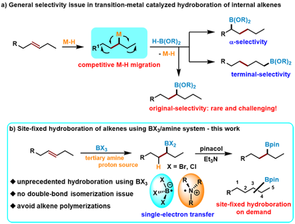图1.烯烃固定位点选择性硼氢化反应：挑战和策略