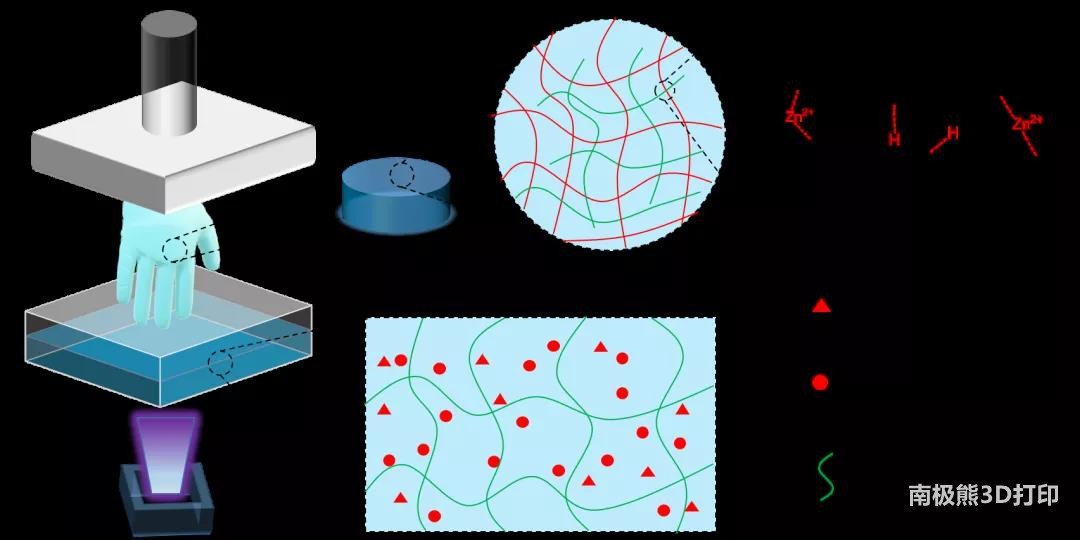 图1 光固化3D打印水凝胶策略