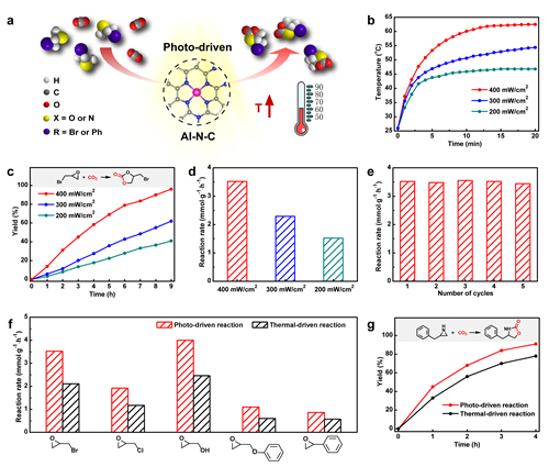 图2.Al-N-C催化剂光驱动CO2环加成反应