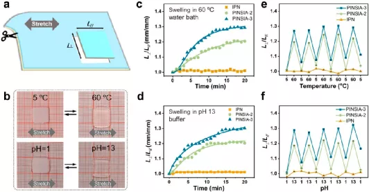 PINSIA 水凝胶的各向异性溶胀特性