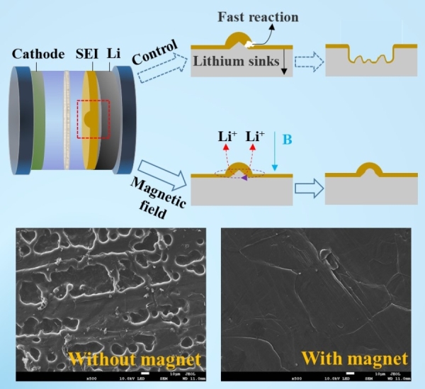 外加磁场强化界面传质抑制SEI膜的破裂 
