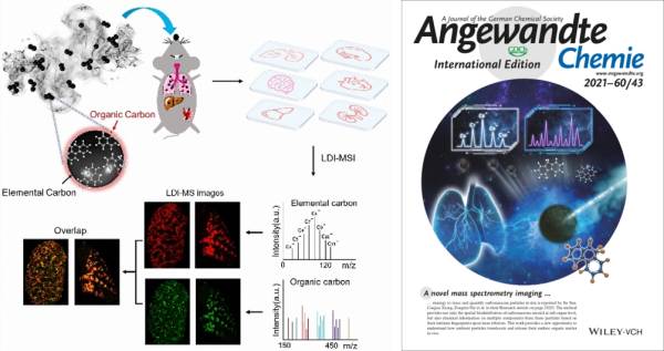 质谱成像揭示碳质气溶胶颗粒物（PM2.5）中有机碳和元素碳在体内特异性分布差异 