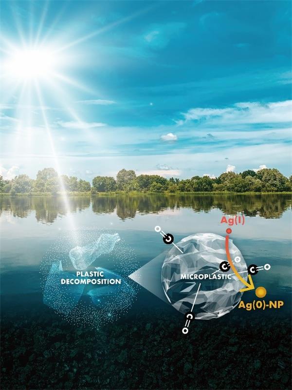 微塑料促进共存污染物形态转化研究获进展