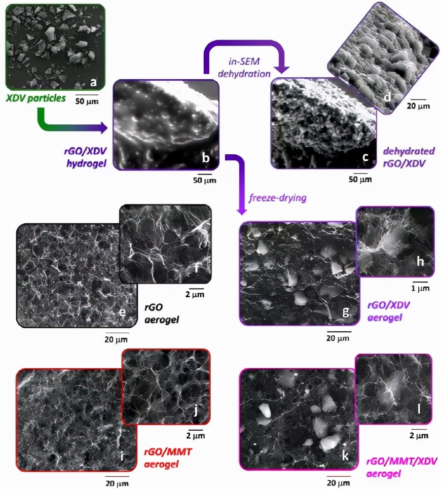 图2. XDV (a)、rGO/XDV 水凝胶 (b, c, d) 和 rGO (e, f)、rGO/XDV (g, h)、rGO/MMT (i, j) 和 rGO/的 SEM 图像 MMT/XDV (k, l) 气凝胶