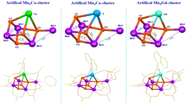 图1 三种仿生Mn4XO4-簇合物（X = Ca2+/Y3+/Gd3+)的核心和整体结构比较 