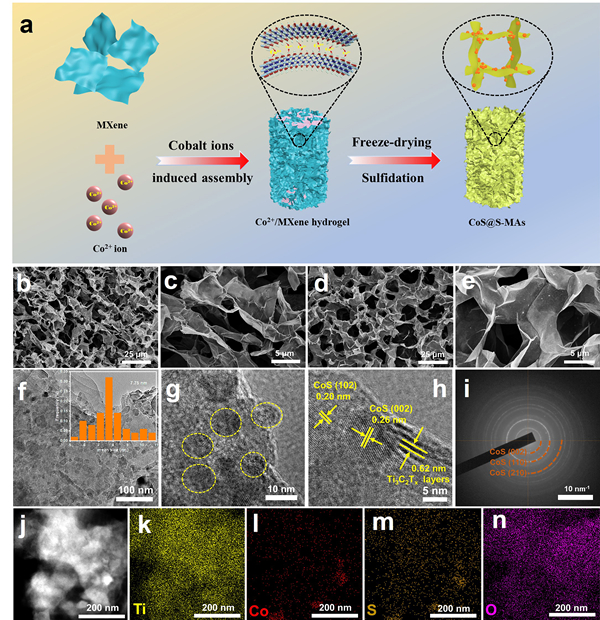CoS@S-MAs纳米催化剂制备流程图以及电镜表征图