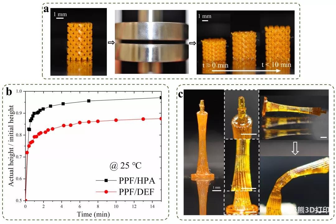 图3 PPF/HPA支架结构的优异力学性能