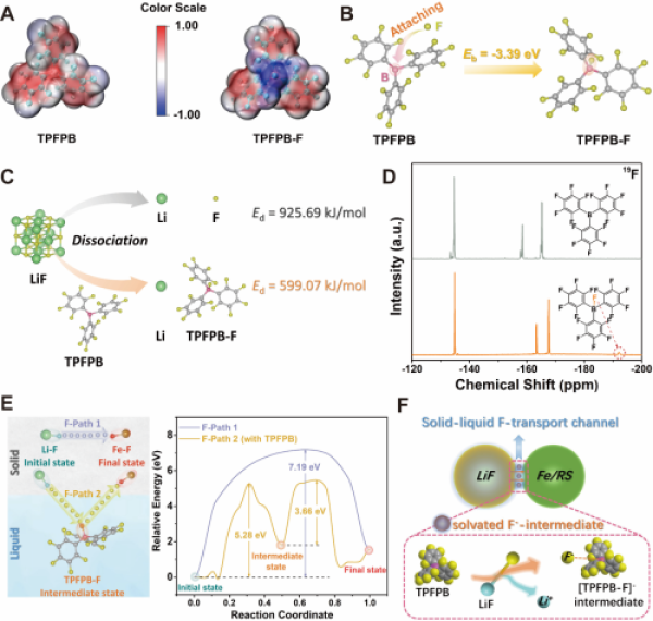 阴离子受体TPFPB辅助构建固液氟通道的表征分析