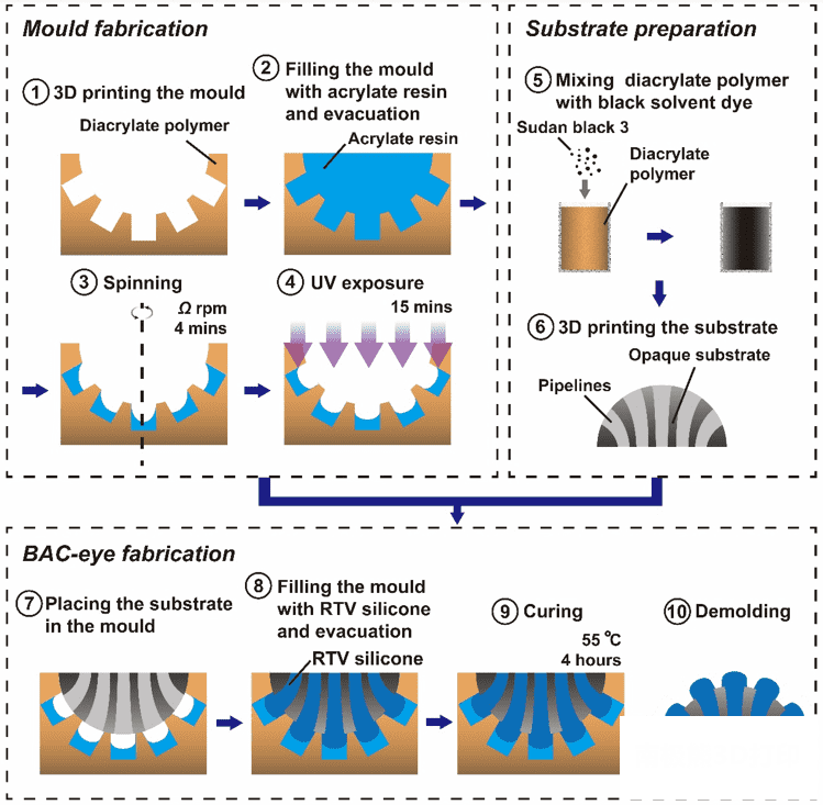 图二仿生复眼的制备流程图