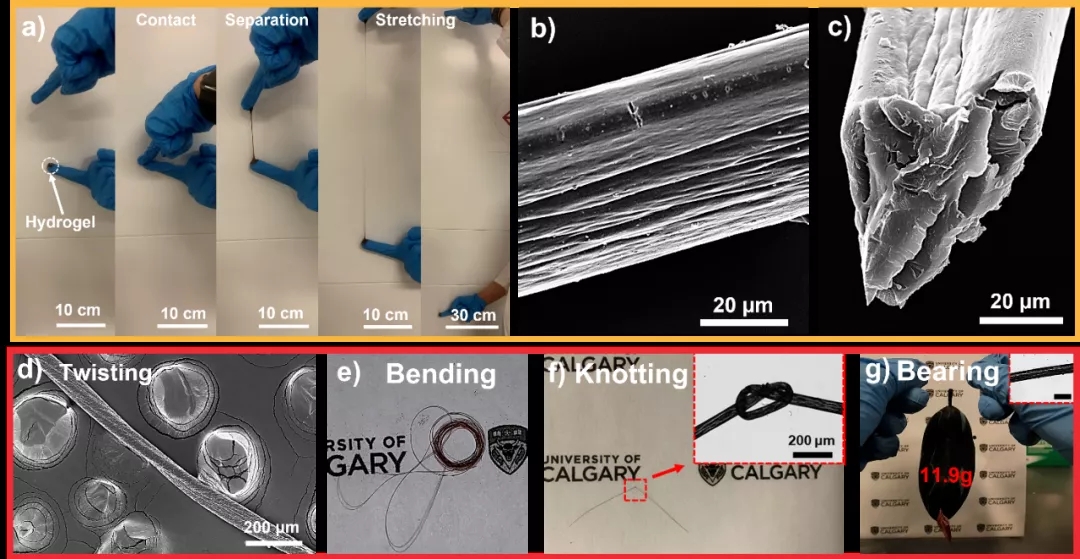 可纺微/纳米纤维的超强拉伸、粘附性和抗菌性水凝胶