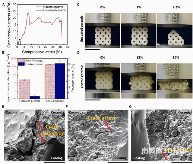 图2. 聚合物涂层对陶瓷抗压强度和变形行为的作用