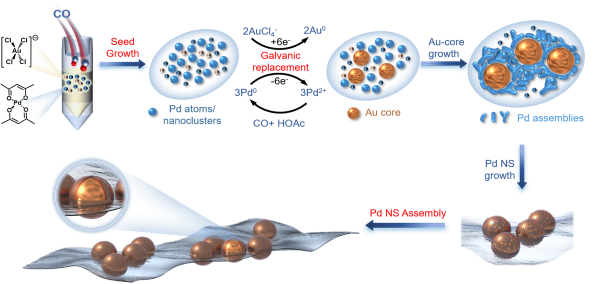 图2.一锅法制备Pd片内嵌Au纳米颗粒复合材料的示意图 