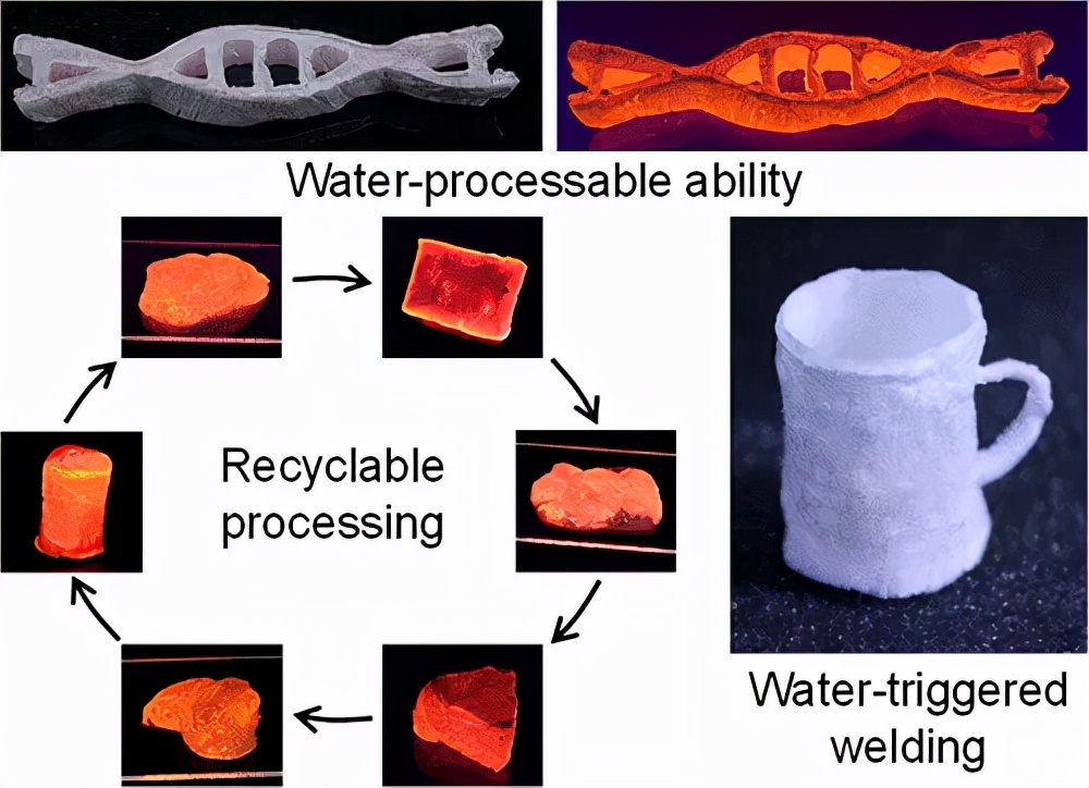 天津大学：DNA水凝胶制成生物塑料的水杯
