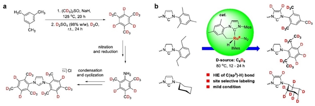 中科院上海有机所实现氘代氮杂环卡宾的催化合成