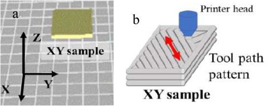 a.3D的模型图像，b. 45度的打印方向