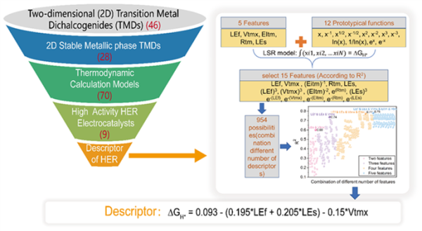 多级高通量计算与机器学习进行金属相TMDs高活性析氢催化剂的筛选与描述符的构建