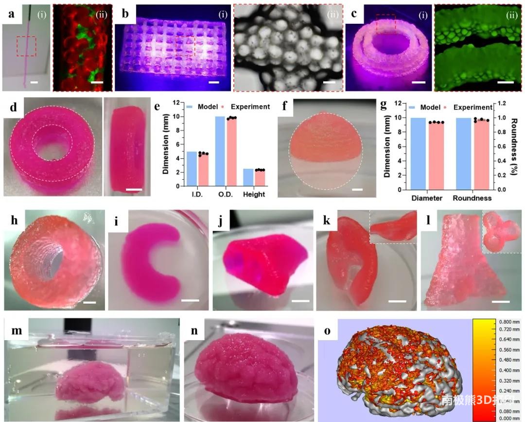 图3 MB生物墨水的3D打印性能和结构保真度评价