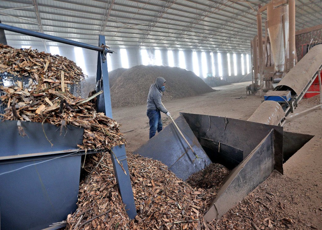 韦林镇韦留村生物质颗粒产业园日处理树枝25吨