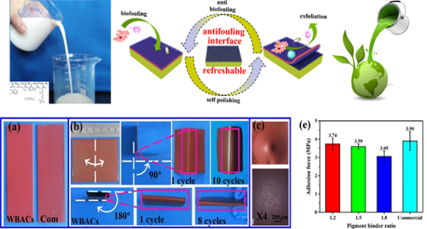 图2 界面微生物黏附抑止绿色技术开发