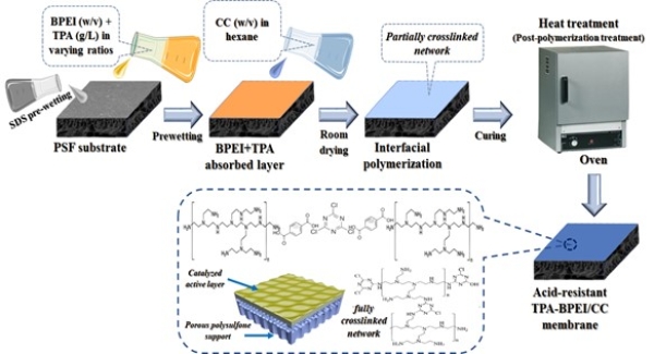 TPA-BPEI/CC NF膜制备示意图