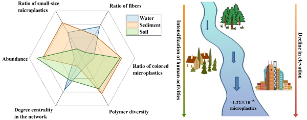 武汉植物园在河流微塑料环境归趋的研究中取得进展