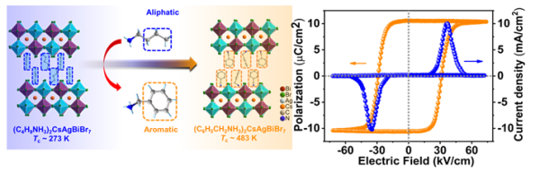 引入芳香族阳离子设计高居里温度二维多层杂化钙钛矿光铁电体