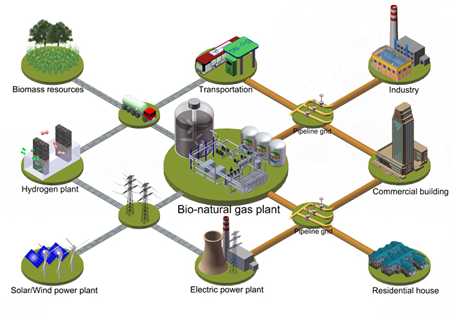 大连化物所实现生物质催化转化制备低碳天然气
