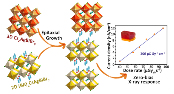 外延生长非铅双金属杂化钙钛异质结晶实现自驱动X射线探测