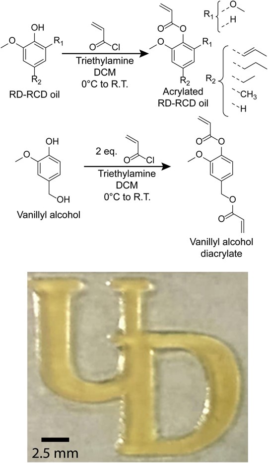 在市售的 SLA 打印机中使用生物树脂 3D 打印“UD”